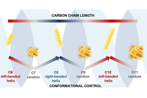 The image shows how the conformation (shape) of our carbon chains alternate between ordered and chaotic structures as the carbon chain alternates between having even and odd numbers of atoms