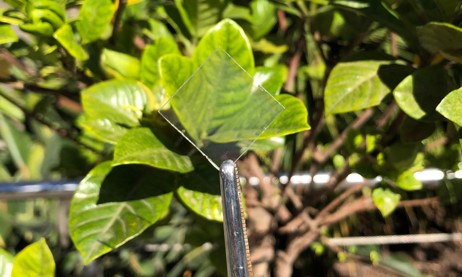 Spray-On Coatings Could Simplify Fabrication of Smart Windows