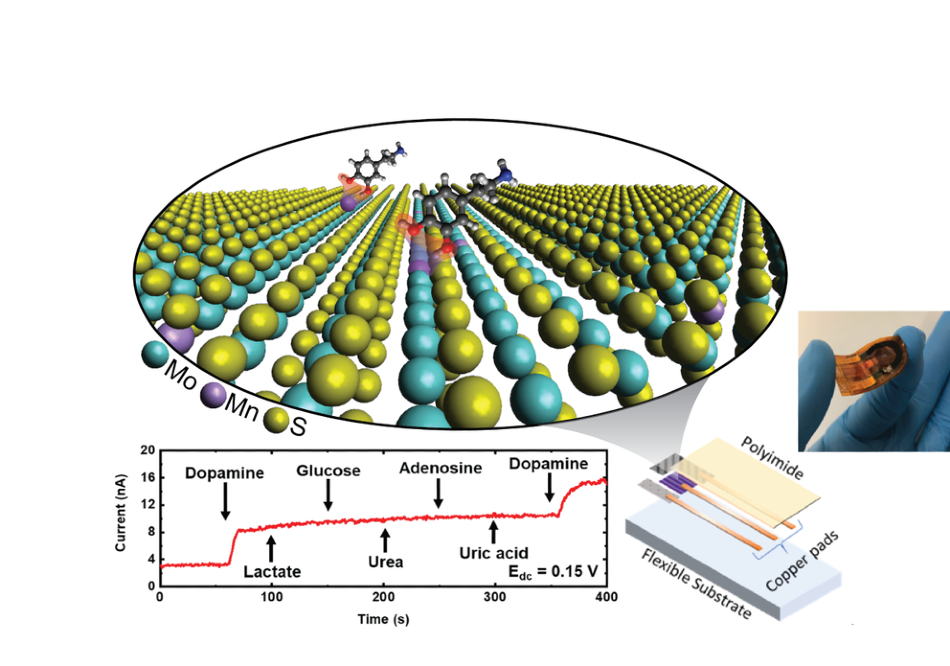 2D Materials-Based Dopamine Detector Facilitates Early Diagnosis of Medical Disorders
