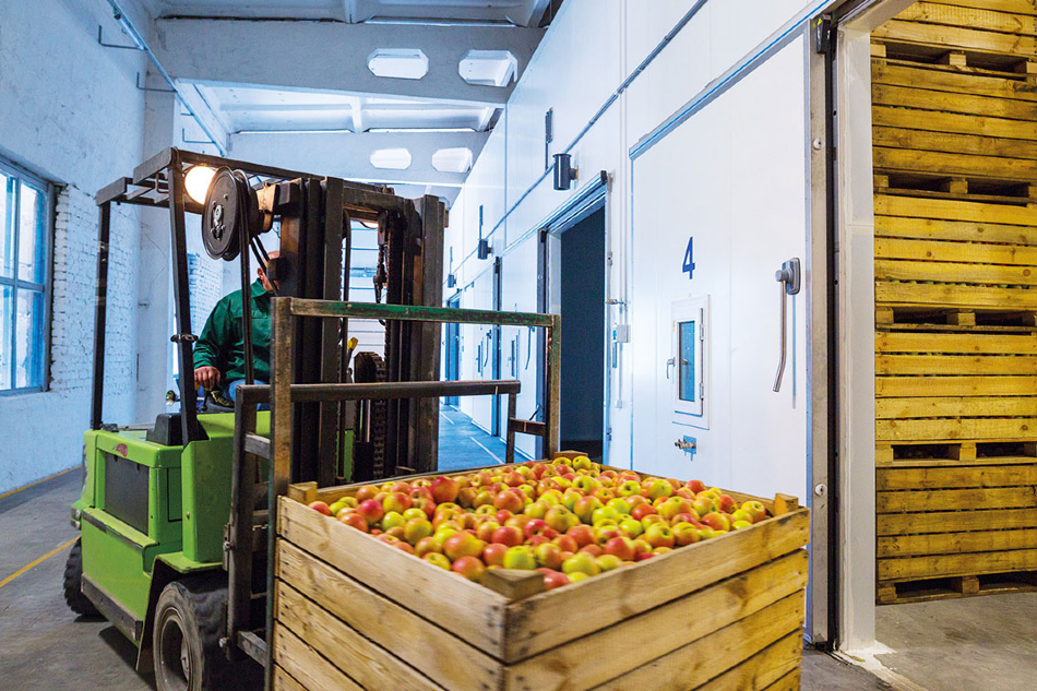 Copyright MSR-Electronic GmbH, Germany, graphic gas measurement in ripening chambers