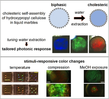 Liquid Marbles Used to Achieve Self-Assembly of Biopolymer-Based Structural Colors