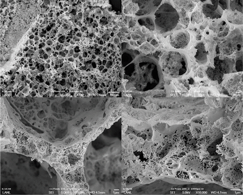 Scanning electron microscope images of cerium nitride foam.