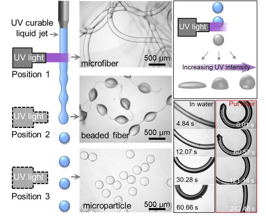 Depending on the location of the UV irradiation of the liquid jet, fibers, beaded fibers or microparticles are formed. Image Credit: University of Twente.