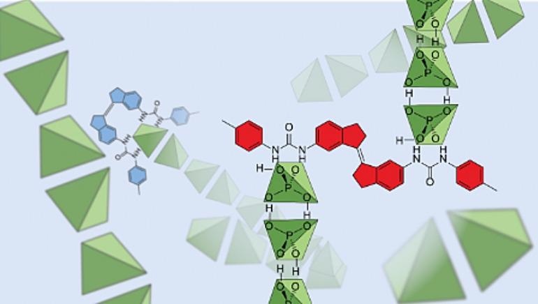 Study Offers New Insight into Molecular Interactions of Dihydrogen Phosphate Anions