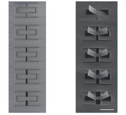 New research allows each kirigami motif to bend into multiple shapes.