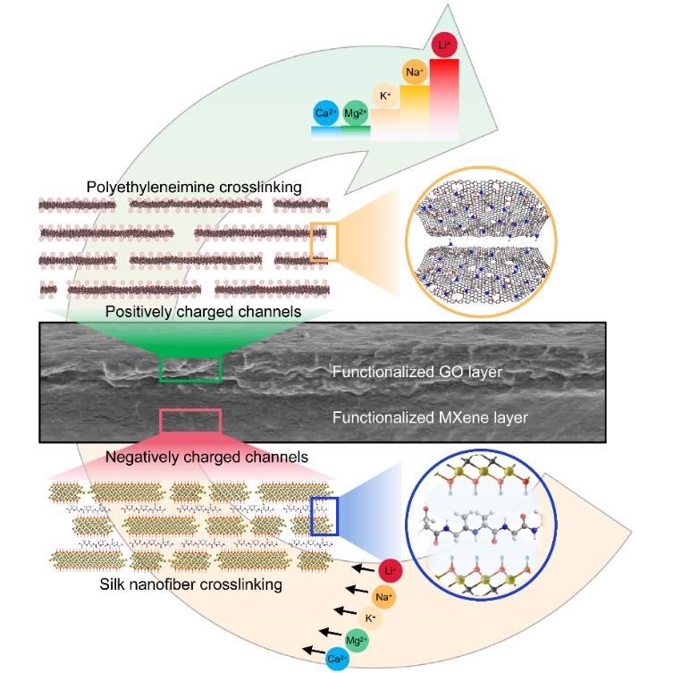 Metal ion sieving using a bioinspired nanochannel membrane.