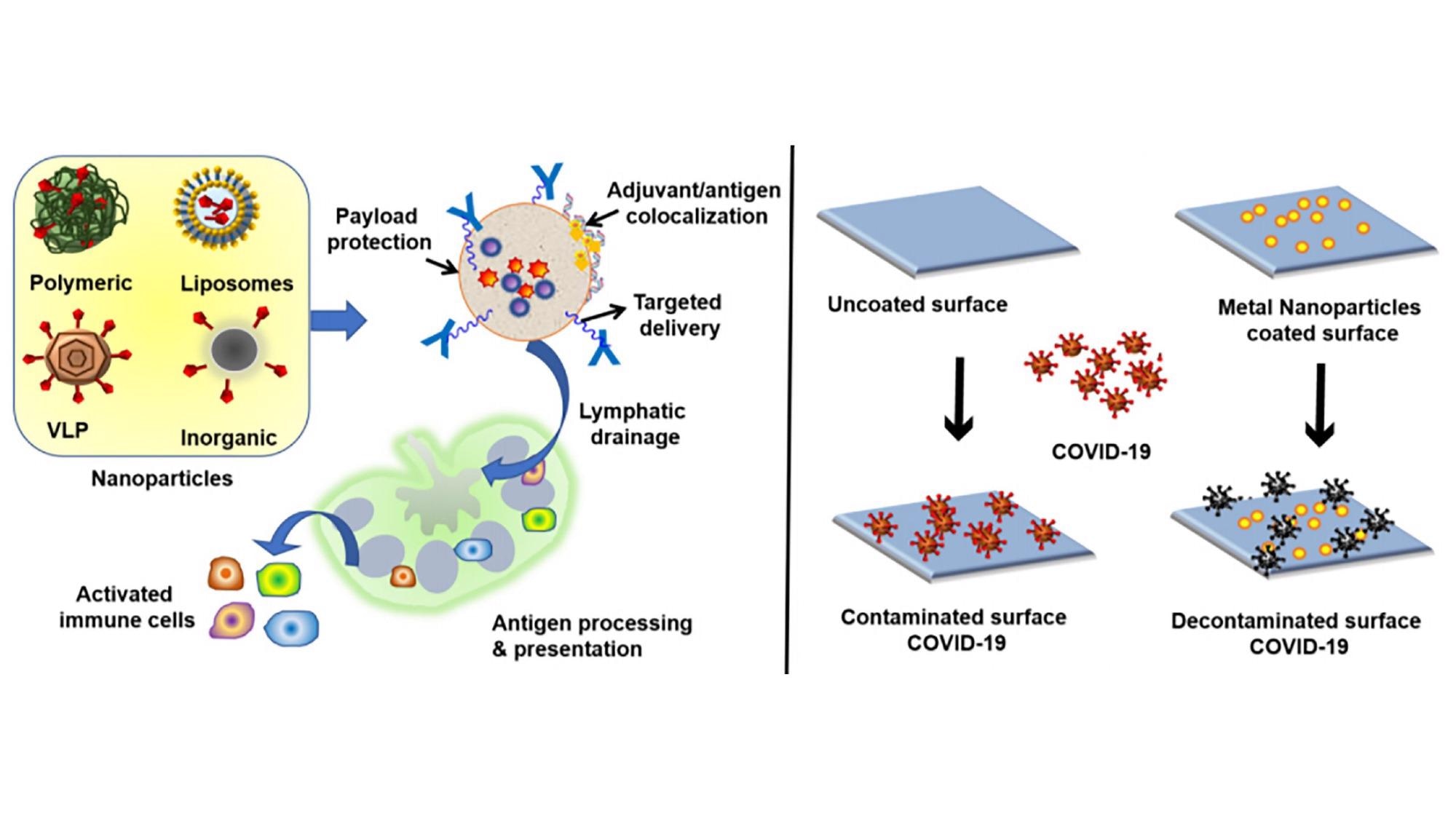 Researchers are studying the ways biomaterials can be used both to strengthen vaccines to fight viruses in the body and to build surfaces that would fight virus cells that landed on them.