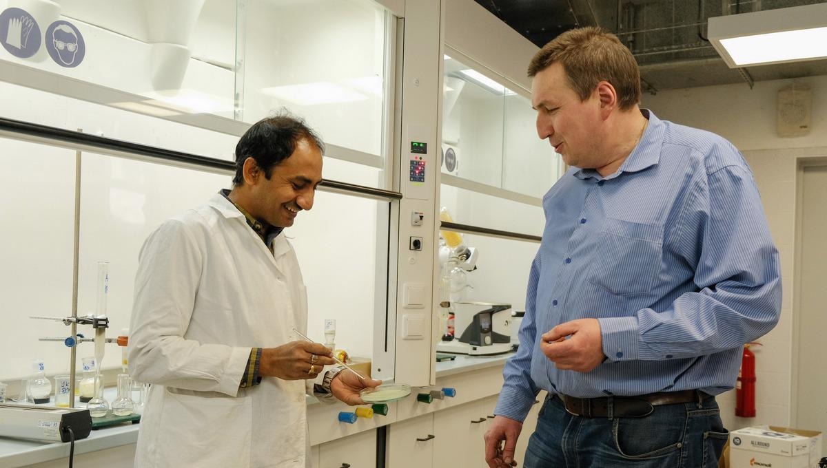 New Edible Food Packaging Films are Safe for Health and Environment