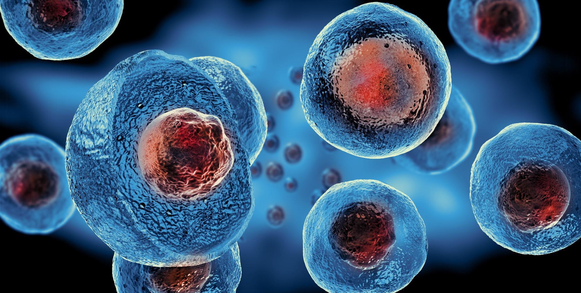 3D Printing of Stem Cells Could Enable Monitoring and Control of Neural Networks