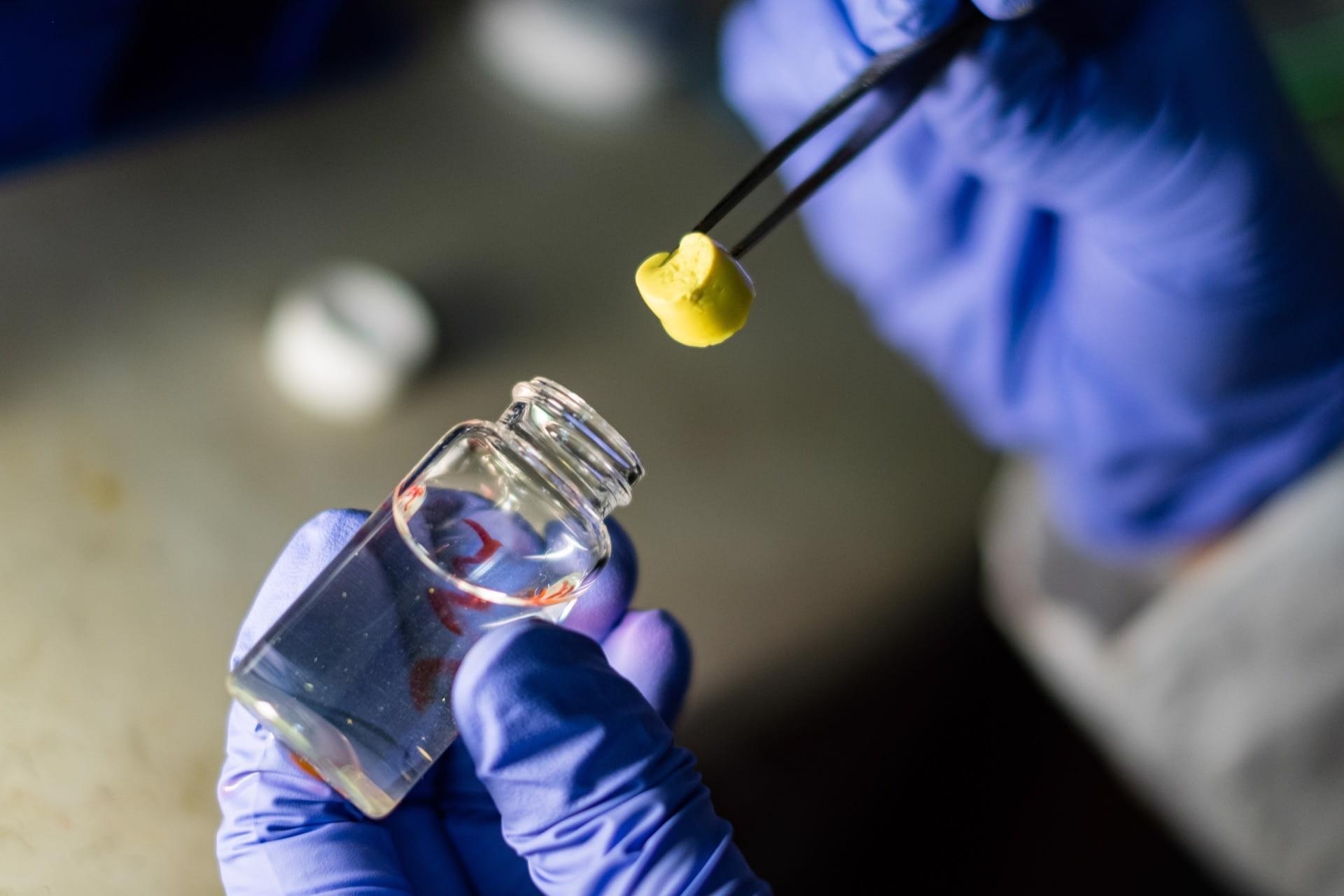 New Chemical Process Creates Light and Highly Absorbent Aerogels.