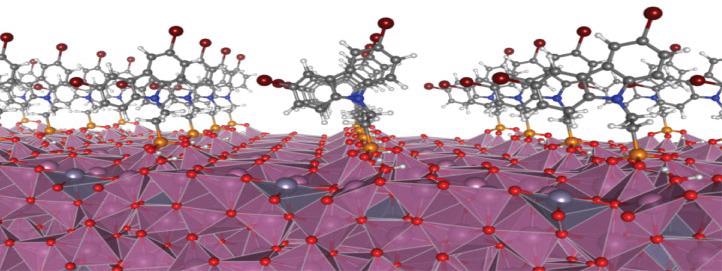 Electrode Coating can Significantly Improve the Performance of Organic Solar Cells.