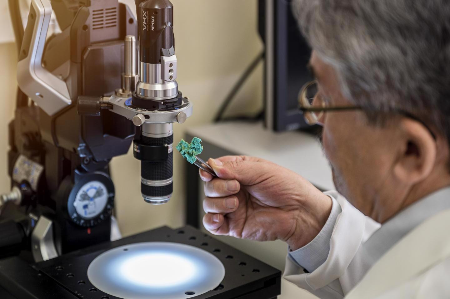 Researchers Develop Bio-Based Industrial Filter from Bath Sponge