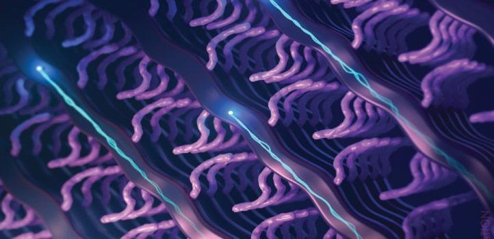 New Organic Semiconducting Polymer for Making Next-Gen Biosensors