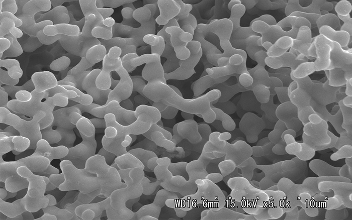 Scientists Develop Polymer-Coated Metal Catalyst to Efficiently Recycle CO2