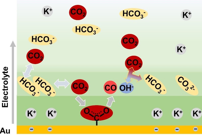 New Study Could Help Advance Electrocatalytic Reduction of CO2.