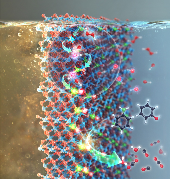 Radicalized NOX Derivatives Supported on Metal Oxides Used to Purify Water.