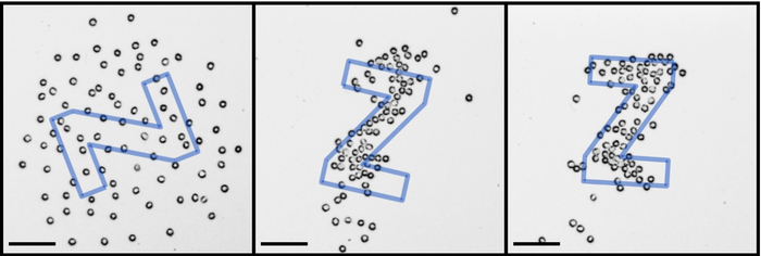 Researchers Attempt to Replicate Natural Process Involved in Creating Complex Structures.