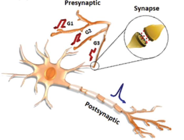 Transistors with Fibrous Architecture can be Used as Artificial Neural Networks.