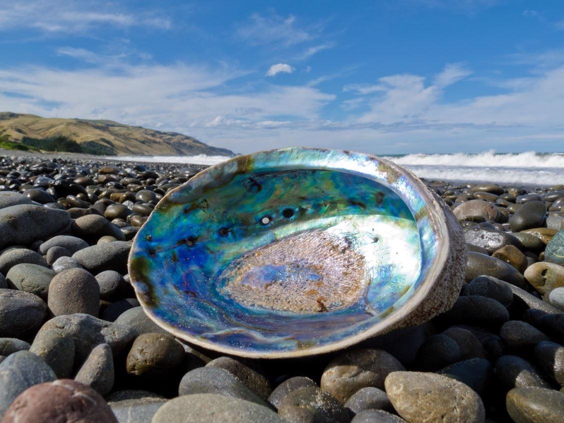 Scientists Develop New Glass Material with Plastic-Like Resilience.