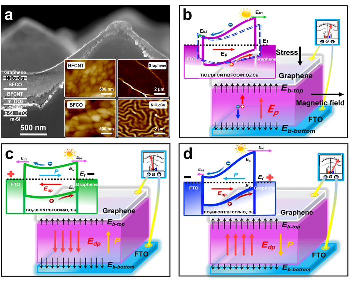 Multiferroic Materials to Enhance Solar Cell Efficiency.
