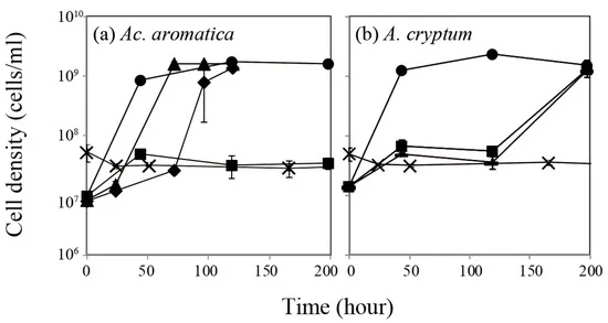 Effect of Pt(IV) on aerobic growth of Ac. aromatica (a) and A. cryptum (b) at pHinitial 2.5. Initial Pt(IV) concentrations were set to 0 mg/L (?), 0.5 mg/L (?), 0.75 mg/L (?), 1 mg/L (¦), 2.5 mg/L (?), or 5 mg/L (×). Data points are mean values from duplicate flasks.
