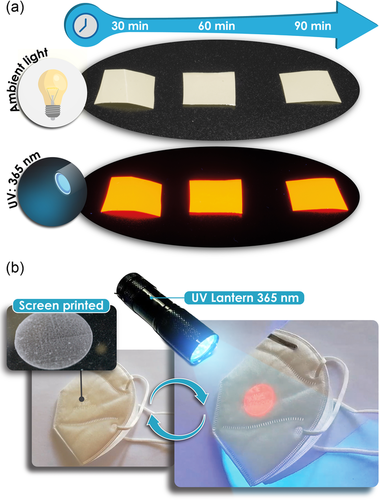 a) Digital images of the PVDF/[Bmim][Eu(tta)4] film taken before and after the chemical exposure under 365?nm UV light, at different ethanol immersion times (30–90? min). b) Optical authentication test of a N95 brand personal protection mask by means of a screen-printed luminescent tag based on PVDF/[Bmim][Eu(tta)4] security ink under exposure to white light (left) and to a 365?nm LED (right).