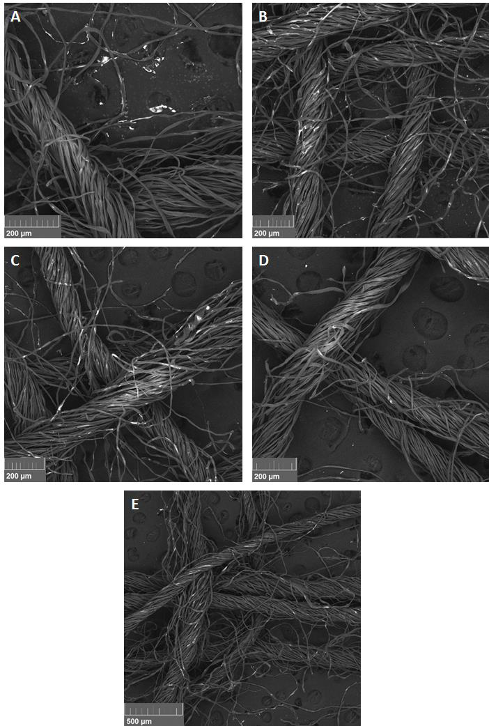 SEM observation of AgNPs in sample (A) 1:2, (B) 1:5, (C) 1:10, (D) 1:25 and (E) 1:50 dispersed in the gauze fibers.