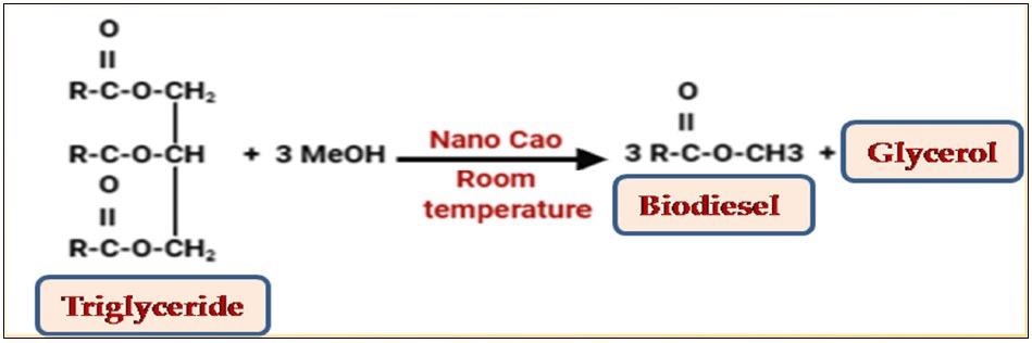 Preparation of FAME (fatty acid methyl ester) Biodiesel from Triglyceride.