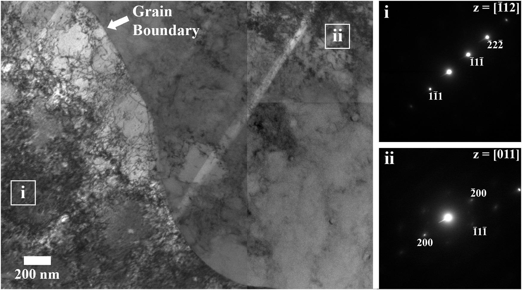 Stitched bright-field TEM micrographs of a selected region containing two adjacent grains near a melt pool boundary on the L-PBF 316L sample printed at 700 mm/s showing the underlying cellular dislocation network. Corresponding selected area diffraction patterns are shown in i and ii.