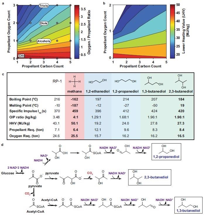 Martian rocket propellant design. a Relationship between increasing the number of oxygen and carbon atoms in the propellants to the mass of oxygen needed for complete combustion, i.e. oxygen/propellant ratio (O/P ratio). Increasing the number of oxygen atoms in the propellant reduces the mass of external oxygen needed for full combustion. b Relationship between increasing the number of oxygen and carbon atoms in the propellant to its lower heating value (LHV). Increasing the number of oxygen atoms in the propellant reduces its LHV. c Propellant relevant properties for Rocket Propellant-1 (RP-1), used for spacecraft launch from Earth, methane, and proposed Martian rocket propellants: 1,2-ethanediol, 1,3-propanediol, 1,3-butanediol, and 2,3-butanediol. Theoretical specific impulses (Isp) were calculated using Eq. (3). Mass of propellant required was calculated using the ideal rocket equation (Eq. (4)). d Short-chain diol metabolic pathways from glucose. Both 1,2-propanediol and 1,3-butanediol require excess NADH. Carbon dioxide evolved: red. NADH consumed: purple. Name of short-chain diols: blue. Source data underlying Fig. 2c are provided as a Source Data file.