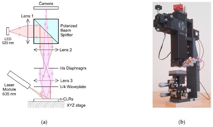 (a) Working principle of the optical setup for speckle images acquisition. Red beams indicate lights shining the n-CLR, the pink beam indicates the light emitted by the n-CLR surface and captured by the camera. Either the LED or the laser module are used as light source. All optical components are fixed, except the distance between the n-CLR and the lens 3 which can be adjusted to focus the image on the camera. (b) Picture of the optical setup. Its overall height is about 30 cm.