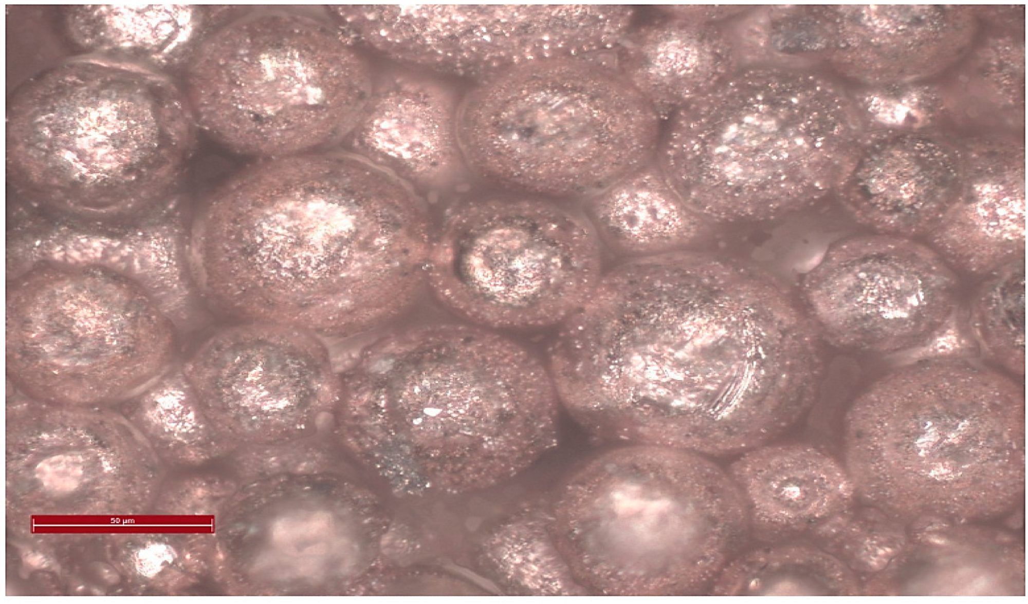 Microstructure of porous Cu samples obtained by hydrothermal sintering.