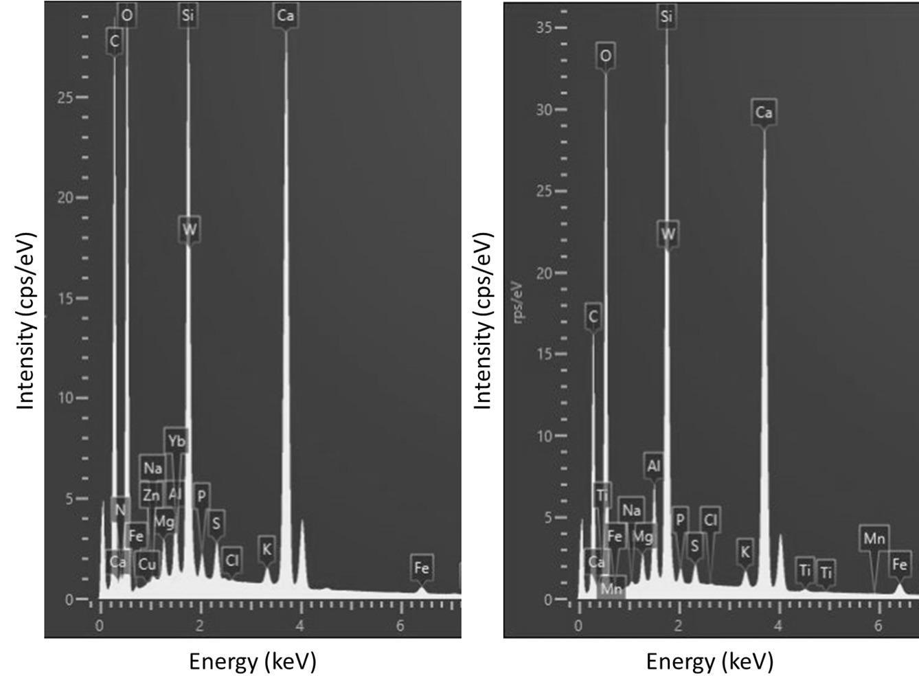 EDS spectra of element content of region 2 on the SP sample on the left and region 1 of the NSP sample on the right.