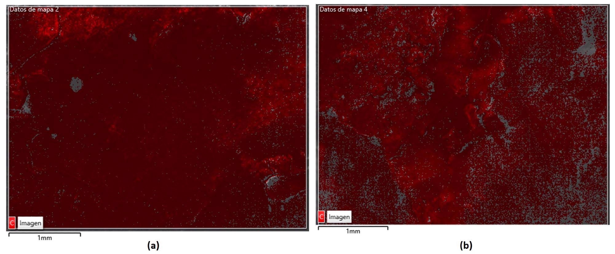 Secondary electron image made with SEM, with a layer superimposed with the carbon distribution of regions 2 SP (a) and 1 NSP (b).