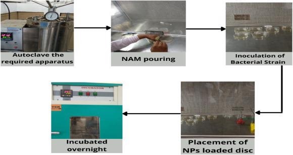 General procedure for the determination of antimicrobial activity.
