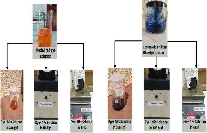 General procedure for the determination of photo-catalytic activity.