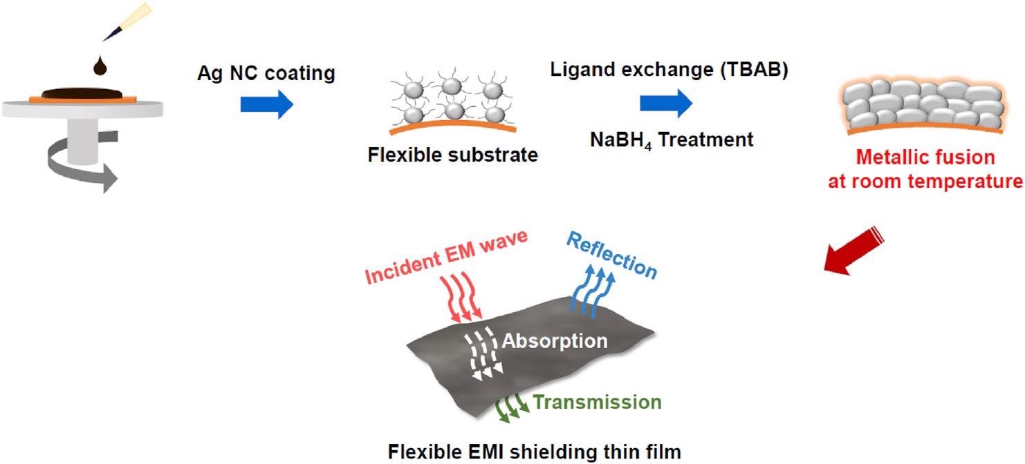 Schematic illustration of the fabrication process of flexible and conductive Ag NC thin film for EMI shielding.