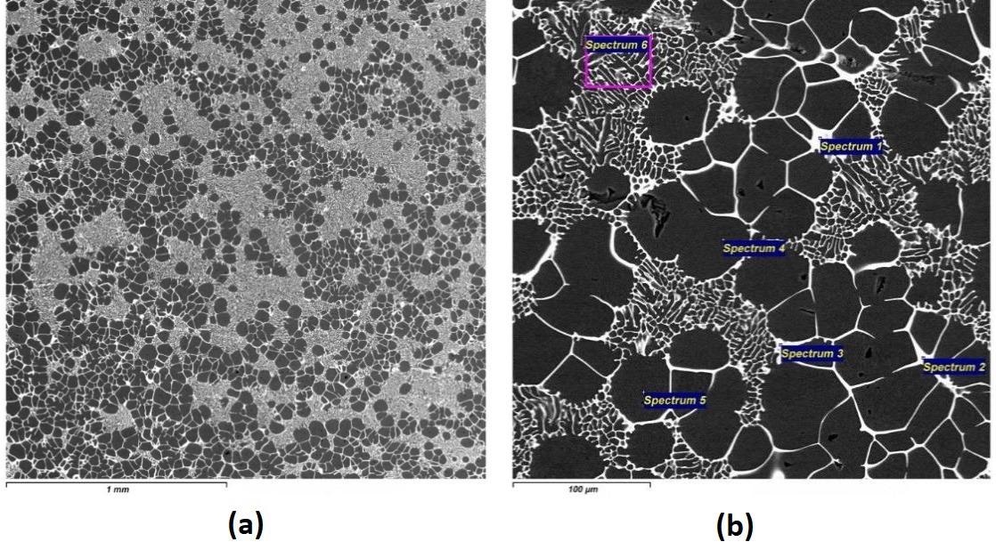 The electronic pictures of the microstructure and the EDX results of master alloys Al-4.2Er cast with a high cooling rate: (a) x40; (b) x400.