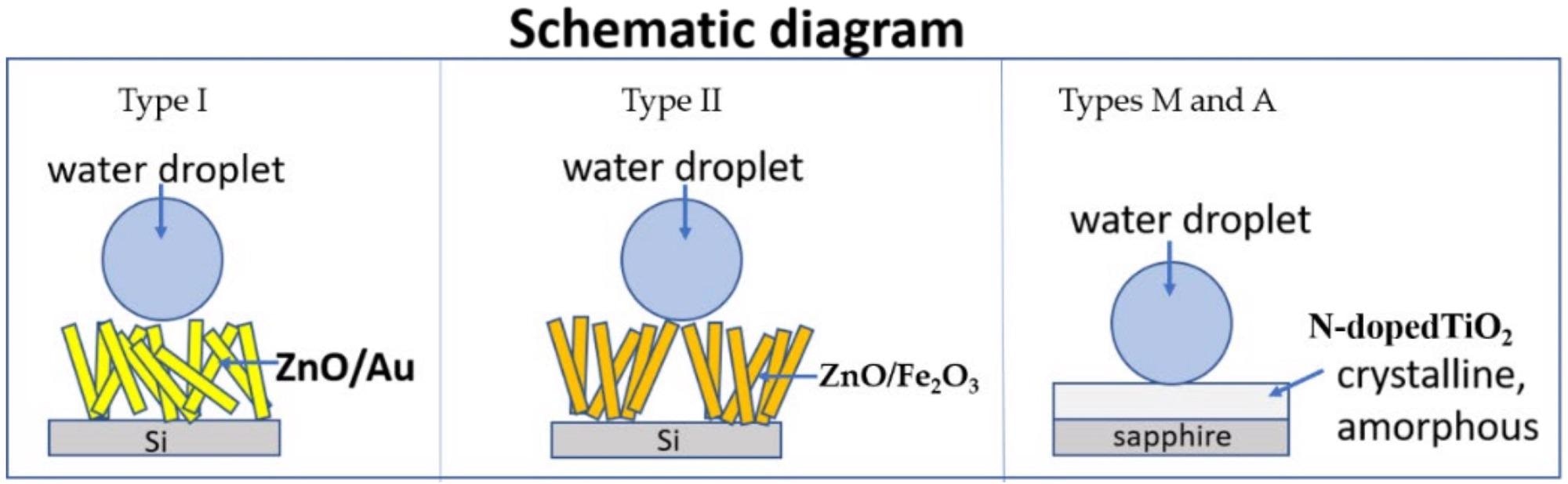 Schematic diagram.