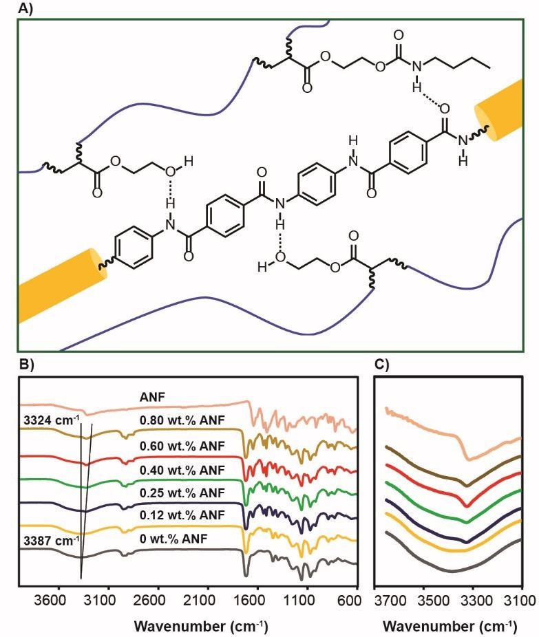 (A) Hydrogen bond formation between ANFs (am-ide groups) and photoresin (hydroxyl groups). (B) FT-IR spectra for control photoresin and nanocomposites with different concentrations of ANFs after 3D printing. (C) Expand-ed hydroxyl stretching region of the control photoresin and the nanocomposites with different concentrations of ANFs after 3D printing.
