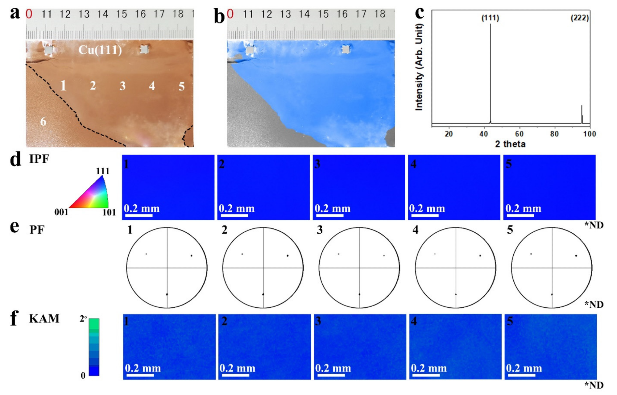 (a,b) are the photographs of the annealed copper foil with a decimeter-sized abnormally grown grain, respectively. (c) The XRD 2? scan spectrum of the large grain. EBSD IPF maps in the normal direction (d); (001) pole figures (e); and KAM maps (f) of the single large grain of copper foil collected at the corresponding positions marked in (a). (ND, normal direction).