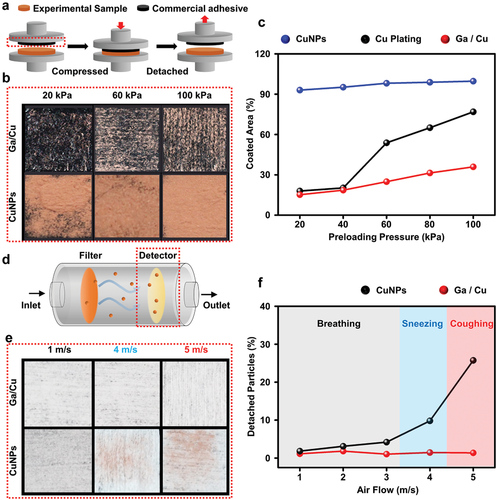 Enhanced adhesion of LMCu on fabric. a) Schematic of the peel-off test method. b) Peel-off test results comparing the LMCu coated fabric and spray-coated CuNPs which represent conventional methods of depositing copper on fabrics. A real image of the compression pressure measured from 20 to 100 at 40 kPa intervals. c) Measurement of the amount of Cu buried on the carbon tape compared to the total area quantitative analysis of the peeling test by pressure. d) A schematic of the detachment test through the transient airflow, which simulated respiration systems. e) The degree of particle desorption (top: LMCu, bottom: CuNPs) in response to airflows to represent breathing (1–3 m s-1), sneezing (4 m s-1), and coughing (5 m s-1). f) Quantitative analysis by image processing.