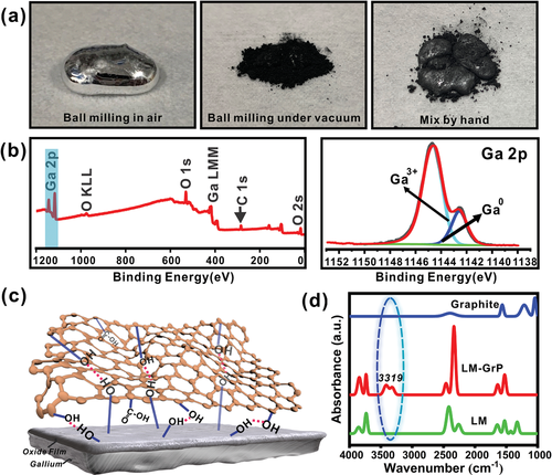 Composition analysis of the LM-based composite. a) Optical images of as-prepared LM-GrP composite, LM-graphite mixture treated under vacuum condition and LM-graphite mixed by hand. b) XPS spectra of LM-GrP composite and Ga 2p1/2. c) Schematic illustration of hydrogen-bonding interactions of graphene with the oxide layer of LM. d) FTIR spectroscopy of graphite, LM-GrP composite, and LM.
