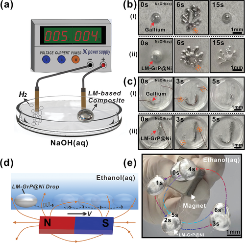Electrical and magnetic performances of LM-based composite. a) Schematic illustration of experimental set-up of oxidative spreading under voltage. b) Oxidative spreading of a droplet in 1 m NaOH solution under 5 V i) pure gallium; ii) LM-GrP@Ni composite. c) The directional movement of pure gallium and LM-GrP@Ni droplets in letter-shaped “J” tracks. d) Schematic illustration of the motion of LM-GrP@Ni composite controlled by a magnet. e) The trajectory of directionally movable LM-GrP@Ni magnetic fluid guided by a magnet.