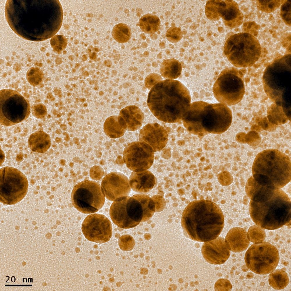 Green Graphene-Gold Nanocomposite: Superior Antioxidant Activity