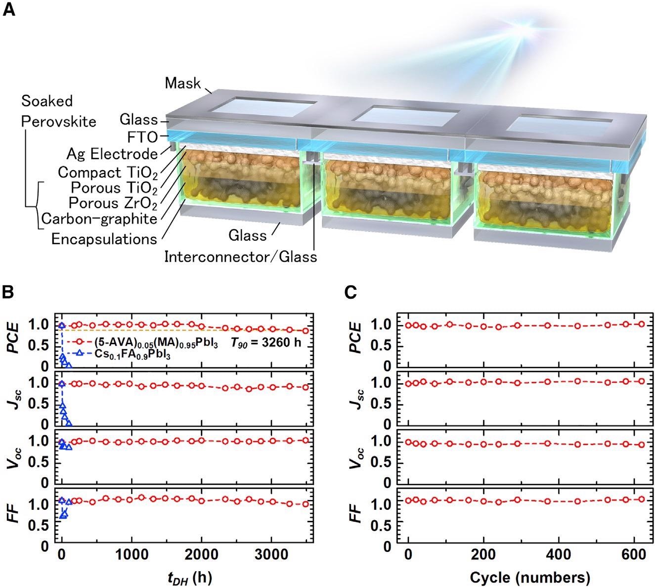 m-CPSM structure and results of stability tests. (A) Schematic of m-CPSM structure: 3-cell module, aperture area of 1.92 cm2. (B) Damp-heat (85 °C/85% RH) results of (5-AVA)0.05(MA)0.95PbI3 and Cs0.1FA0.9PbI3. (C) Thermal cycling (-40 °C to 85 °C) results of (5-AVA)0.05(MA)0.95PbI3. (B and C) Each value is normalized by its initial value.