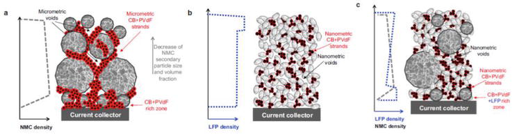 Schematic figure of typical features in a) NMC, b) LFP, and c) NMC/LFP blend electrodes [39].