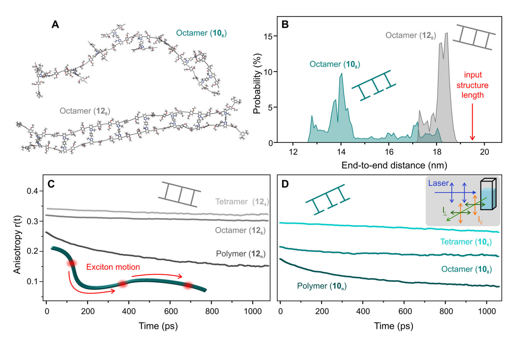 Highly Conjugated Ladder Polymers of Unparalleled Dimensions.