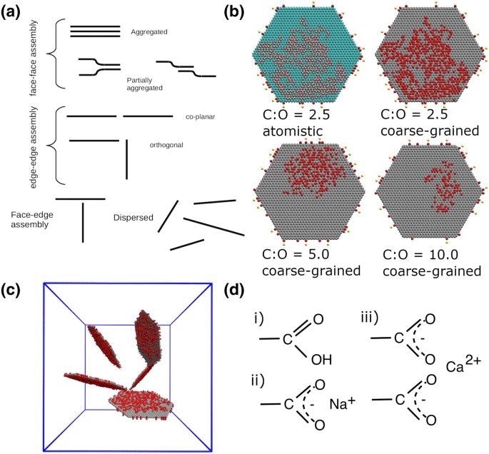 (a) Schematic diagram displaying the different morphologies and aggregation interaction modes formed by the graphene (oxide) flakes. The flakes at the top right (b) are examples of GO sheets oxidised to different extents. The first flake shows the GO flake with a C:O ratio of 2.5 at the atomistic level. In this example, the carboxylic edge groups are deprotonated with a calcium counterion. The colour scheme for atomistic systems is: carbon is cyan, oxygen is red, hydrogen is white, calcium is yellow and sodium is blue. The remaining flakes are shown at the coarse-grained level. The red circles represent the oxidised hydroxyl groups and edge carboxylic groups, and grey represents graphitic carbon atoms. The diameter of each flake is 10 nm. (c) shows the dispersed initial configuration (water not shown). There are five flakes within each simulation cell. The solid blue lines are the periodic boundaries, with lattice parameters of approximately 18nm. d) shows the different carboxylic edge groups considered in this study, (i) prontonated \ neutral (i.e low pH), (ii) deprotonated with sodium counterions and (iii) deprotonated with calcium counterions. All atomistic and coarse-grained visualisations in this and subsequent figures were created using VMD Version 1.9.248,49.