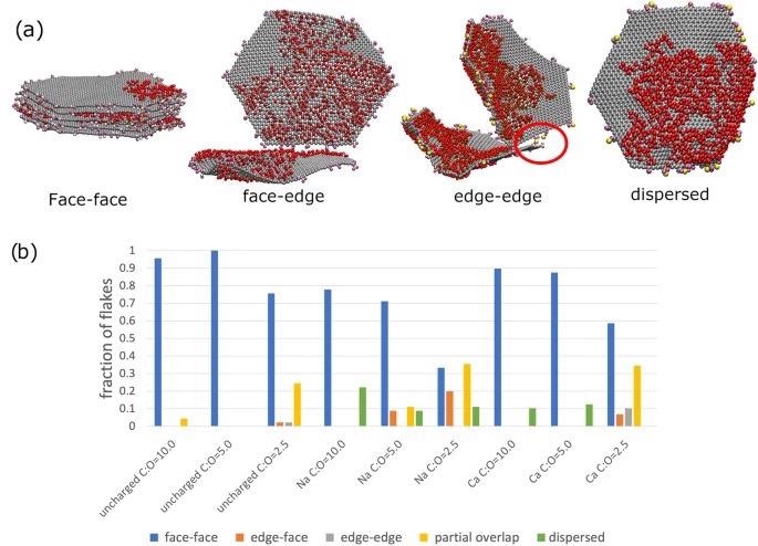 Aggregation interaction modes present in graphene oxide flakes in aqueous solution. (a) Snapshots from the coarse-grained simulations illustrating the relevant binding mode. The red circle on the edge-edge binding mode snapshot highlights how a Ca2+ is acting as a ion bridge and facilitating the edge-edge binding mode. The colour scheme is the same as Figure 1. In (b), we display the percentage of flakes in each binding mode for the different systems in our study. The different binding modes (“face-face”, “partial”, “edge-edge” and “face-edge” are schematically illustrated in Fig. 1). Flakes that are not bound are classed as dispersed.